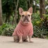 Petlounge Corderito chiporro ultra suave Rosado 2