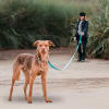 Petlounge Correa larga Power Trail calipso 3 y 5 metros 3