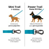 Petlounge Correa Larga Mini Trail Calipso 3 mt 4