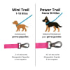 Petlounge Correa Larga Mini Trail Fucsia para perros de hasta 10 kg 4