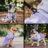 Petlounge cortaviento impermeable HydroLite morado Talla 4 2