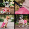 Petlounge cortaviento impermeable HydroLite rosado Talla 3 2