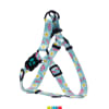 Doco arnés para perro Step-In diseño Bacon 2