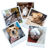 Tazón con fotos y nombre de tu mascota 3