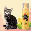 Pet Head Felin Good Shampoo en Seco para Gatos 200ml 3