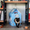 BRNX Casa para gatos maxi diseño caja de leche azul 4