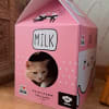 BRNX Casa para gatos maxi diseño caja de leche rosado 2