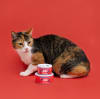 SuniSelecto esterilizado con atún para gatos de Sunipet 2