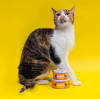 SuniSelecto esterilizado con cordero para gatos de Sunipet 2