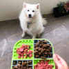 LickiMat SLOMO Green para perros color verde 2