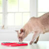 LickiMat SLOMO red para perros 3