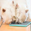 LickiMat Tuff Buddy turquesa para perros 2
