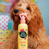 Pet Head Birthday Sparkle Spray con brillo olor a algodón de azúcar 296 ml 2