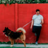 Petlounge Correa manos libres de color celeste 2