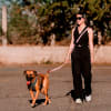 Petlounge Correa manos libres de color rosada 2