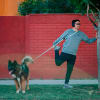 Petlounge Correa manos libres de color verde 2