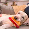 Juguete Play Pet American Classic Hot Diggy Dog para perros 2