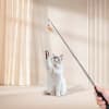 Juguete varilla extensible con 3 plumas intercambiables para gato 3