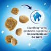 Purina Dentalife gatos 40g 2