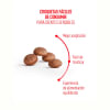 Royal Canin Gato Ageing 11+ 2 kg 3