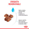 Royal Canin Mother & Baby cat de 1.5 kg 2