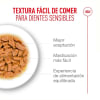 Royal Canin Gato Pouch Ageing 11+ 85 g 2
