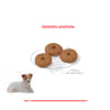 Royal Canin Perro Mini Adult 12+ 3 kg 2