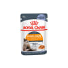 Alimento húmedo Royal Canin Hair & Skin para gato 0