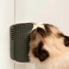 Catit Senses 2.0 self-groomer cepillo de autocepillado para gatos 2
