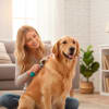 Pawise cepillo de carda para perros o gato 2