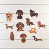 Stickers de perros salchichas ilustrados 6