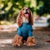 Petlounge Sweater de lanilla para perros pequeños azul 2