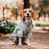 Petlounge Sweater de lanilla para perros pequeños Gris 2