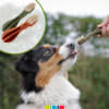 WHIMZEES Dental Treats TOOTHBRUSH Medium 2