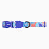 ZeeDog Collar Glitch Error 404 para perros 0