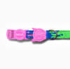 ZeeCat collar Lozt Melted de ZeeDog para gatos 2