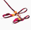 ZeeCat arnés con correa Selva de ZeeDog para gatos 0