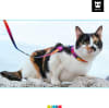 ZeeCat arnés con correa Lozt Melted de ZeeDog para gatos 5