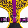 ZeeDog Pechera Honey Adj. Air Mesh Harness 4