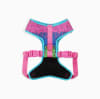 ZeeDog arnés pechera Lozt Melted ajustable air mesh para perros 2