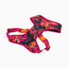 ZeeDog Pechera Selva Adj. Air Mesh Harness 3