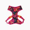 ZeeDog Pechera Selva Adj. Air Mesh Harness 0