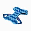 ZeeDog Pechera Swell Adj. Air Mesh Harness 3