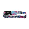 ZeeDog Collar Blast para perros 0