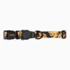 ZeeDog Collar Bossa Banana para perros 0