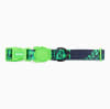 ZeeDog Collar Glitch Error 410 para perros 0