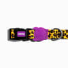 ZeeDog Collar Honey para perros 3