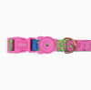 ZeeDog Collar Lozt Melted para perros 3