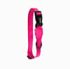ZeeDog Collar Pink Led para perros 2