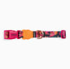 ZeeDog Collar Selva para perros 0
